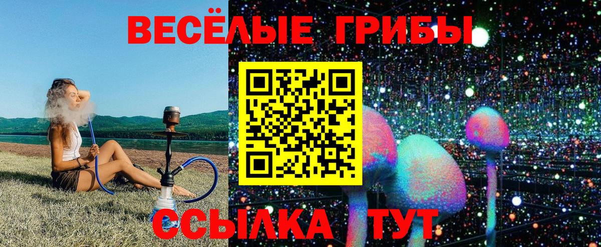 Псилоцибиновые грибы Cubensis Баксан