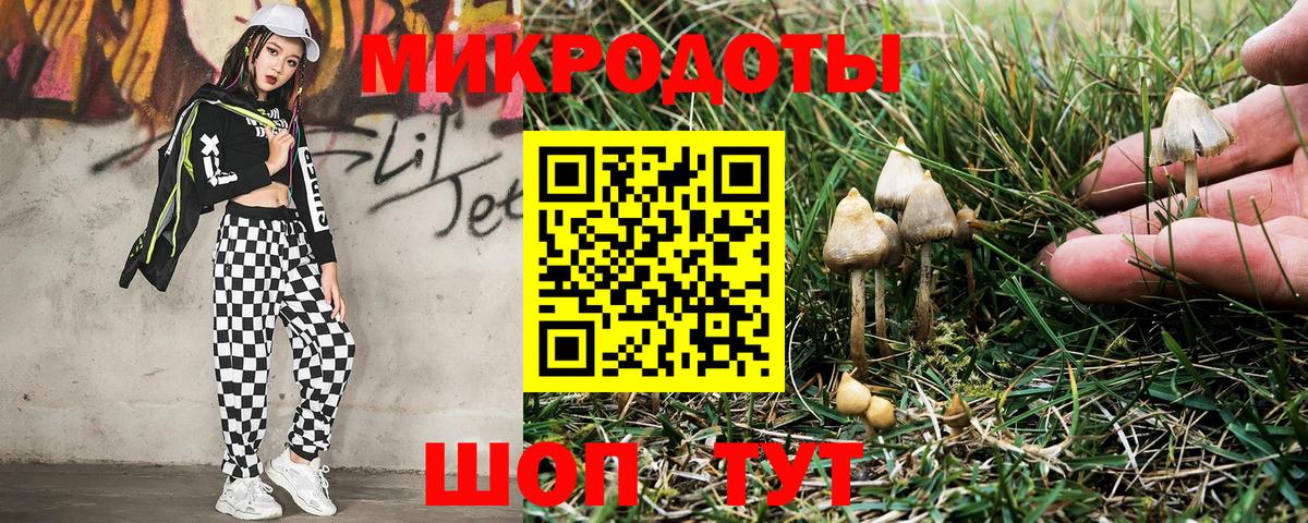Баксан  Галлюциногенные грибы Psilocybe  закладки  Вход с VPN 